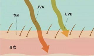 防晒主要是防uva还是uvb 防晒作用
