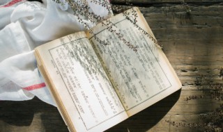 阎王小说简介 阎王小说介绍