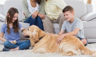 关于安全知识的内容 关于安全知识内容