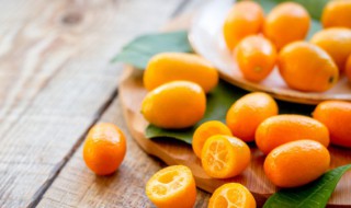 金桔膏的制作方法 金桔膏做法