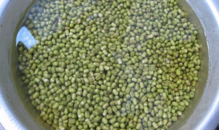 绿豆凉粉的制作方法窍门 绿豆凉粉的做法