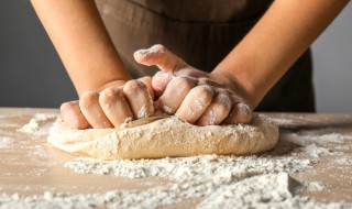 冰箱隔夜发面方法 冰箱如何隔夜发面