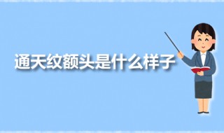 通天纹额头是什么样子 额头有通天纹是好现象吗