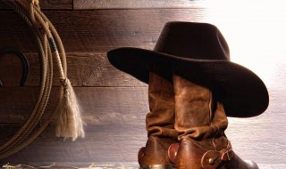 西部牛仔是什么意思 西部牛仔解释