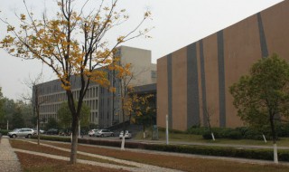 安徽艺术学院是几本 安徽艺术学院简单介绍