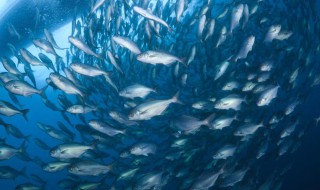 成千上万是什么意思 成千上万出自何处