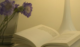 半途而废是什么意思 半途而废的解释