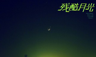 在街头浪荡没有目的方向残酷的月光给现实一巴掌是什么歌 残酷月光歌曲介绍