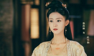 徐沐婵个人资料 徐沐婵个人资料是什么