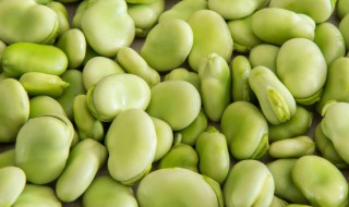 干蚕豆的做法大全 干蚕豆的烹饪方法