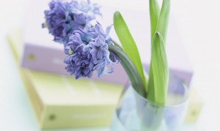 悠悠岁月是什么意思 悠悠岁月的意思