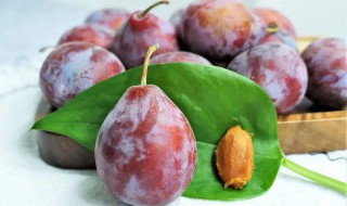 西梅一天最多可以吃多少 西梅一天的适宜量是多少