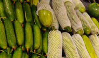 丝瓜什么时候吃最好 丝瓜何时吃最好