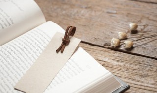 故乡的主要内容 故乡的主要内容是什么