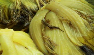 酸菜和什么相克 酸菜和哪些相克