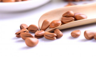 松子与啥相克 与松子相克的食物