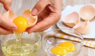 节瓜炒虾米炒蛋 节瓜炒虾米炒蛋的做法