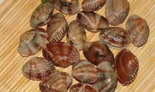 蛤蜊与什么相克 蛤蜊不能和什么一起吃