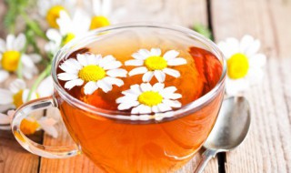 春天喝什么茶最好 春天喝哪些茶最好