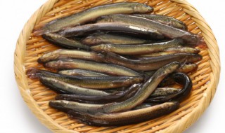 吃泥鳅的好处和禁忌有哪些 吃泥鳅的好处和禁忌解说