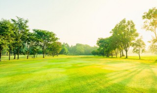 阳光励志唯美的句子 阳光简短励志的唯美句子