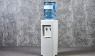 饮水机塑料味怎么去除 饮水机塑料味怎么去除呢