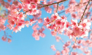 形容励志的句子摘抄 关于励志的优美句子摘抄