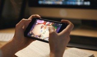 金克丝的含义 金克丝的介绍