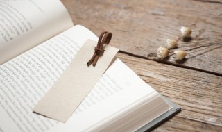 二青会的含义 二青会的解释