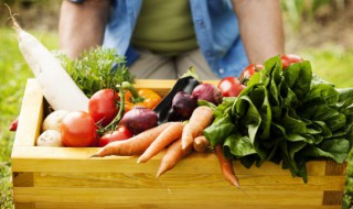 炒蔬菜做法大全 炒蔬菜的烹饪方法