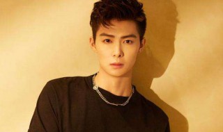 张铭恩个人资料 张铭恩介绍