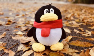 最新好听的QQ网名大全 最新好听的QQ网名有哪些