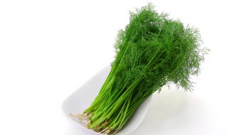 茴香能炒菜吃吗 茴香介绍