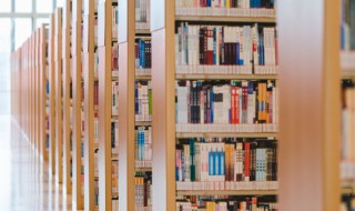 红楼梦60回概括 红楼梦60回内容简介