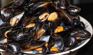 辣椒炒海虹的做法 辣椒炒海虹怎么做