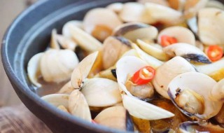 宝宝发烧可以吃毛贝吗 宝宝发烧能吃毛贝吗