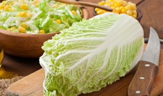 猪血炖白菜的做法 猪血炖白菜的家常做法