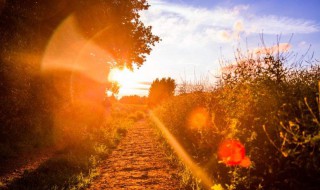 好听的说说 好听的说说句子摘抄