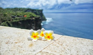 男女生共用QQ网名 关于男女生共用QQ网名