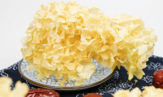 新鲜银耳放冰箱可以保存多久 新鲜的银耳保质期介绍