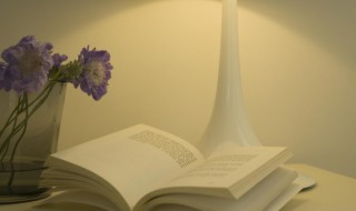 简单干净的二字女生网名 简单干净的二字女生网名有哪些