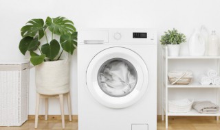 怎样选购洗衣机是最好的 选购洗衣机是最好的方法