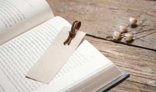 简爱第27章概括 关于简爱第27章概括