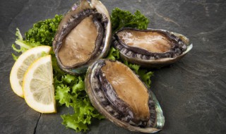 鲍鱼和虾过夜能吃吗 鲍鱼和虾过夜可以吃吗