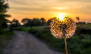 文艺短句五字以内 文艺短句五字以内精选