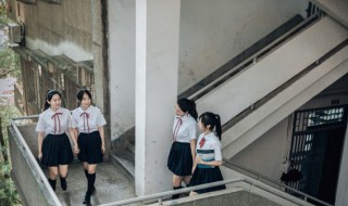 校园环境的特点有哪些 校园环境的特点有什么