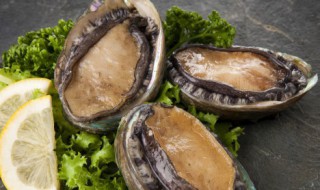 熟冻鲍鱼做法 冻即食鲍鱼红烧的做法步骤