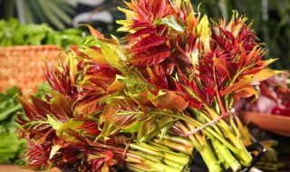 香椿炒蛋和什么相克 香椿炒蛋跟什么食物一起吃会相克