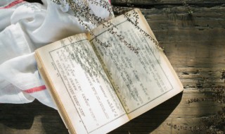 岑夫子怎么读 岑夫子的简介