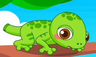 壁虎的养殖技术 壁虎按如下方法养殖